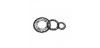 PLATOS COWEB