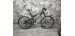 SPECIALIZED XC PRO