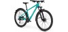 FOCUS WHISLER 3.6