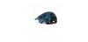 HELMET TERRANOVA