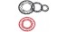 PLATO KCNC COWEB 22D